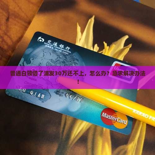 普通白领借了浦发30万还不上，怎么办？急求解决办法！