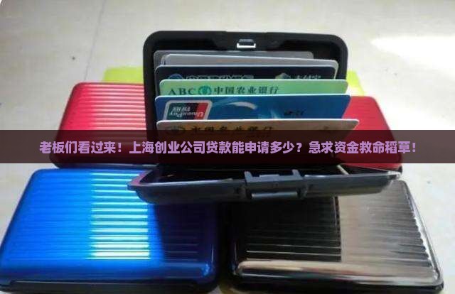 老板们看过来！上海创业公司贷款能申请多少？急求资金救命稻草！