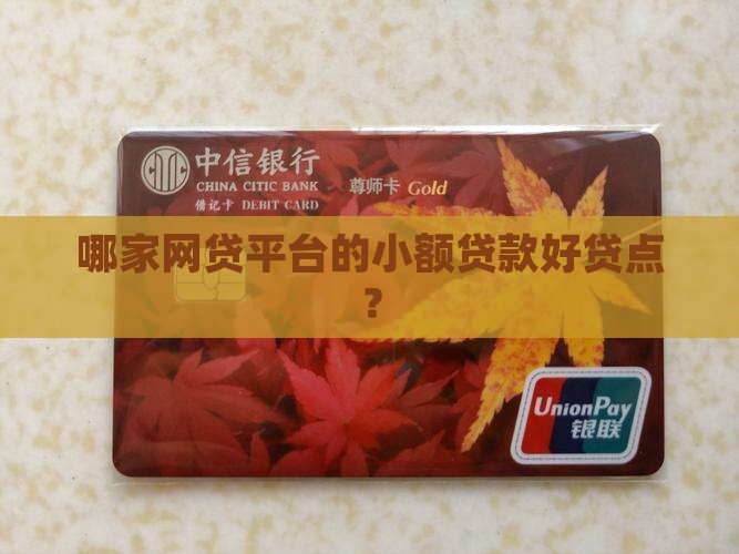 哪家网贷平台的小额贷款好贷点？