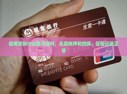 信用贷款什么都不压吗，无需抵押和担保，征信记录正常