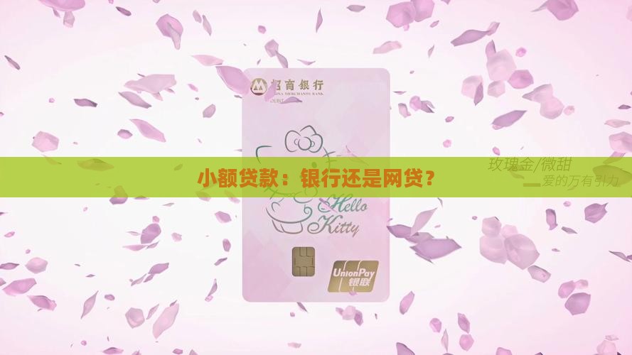 小额贷款：银行还是网贷？