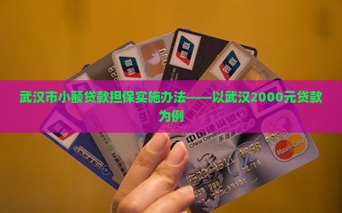 武汉市小额贷款担保实施办法——以武汉2000元贷款为例