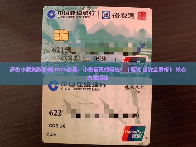 多微小额贷款怎样