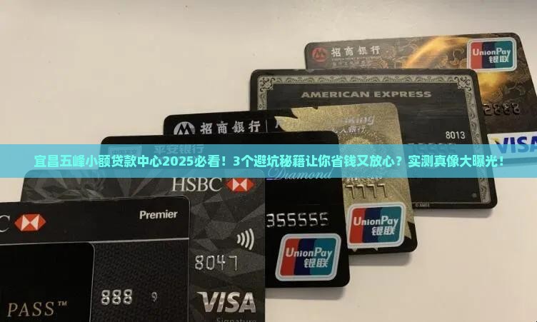 宜昌五峰小额贷款中心