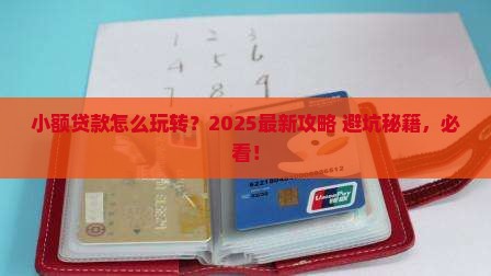 小额贷款需要学什么