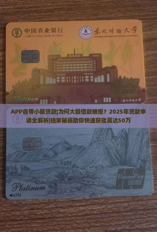 APP自带小额贷款