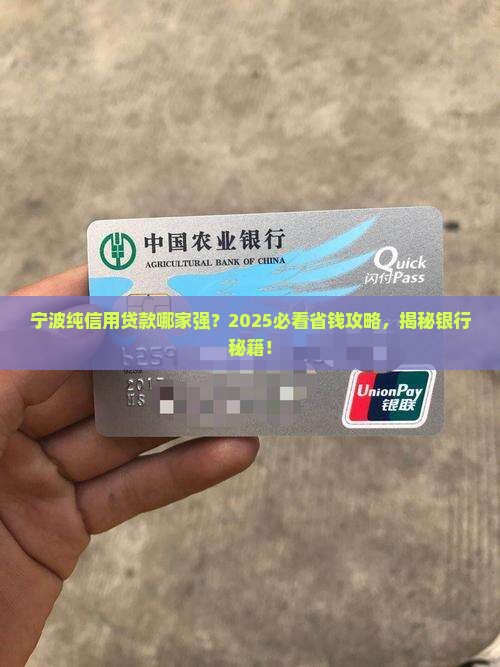 宁波纯信用贷款的银行