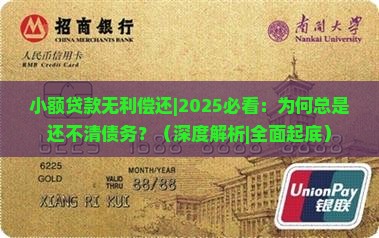 小额贷款无利偿还