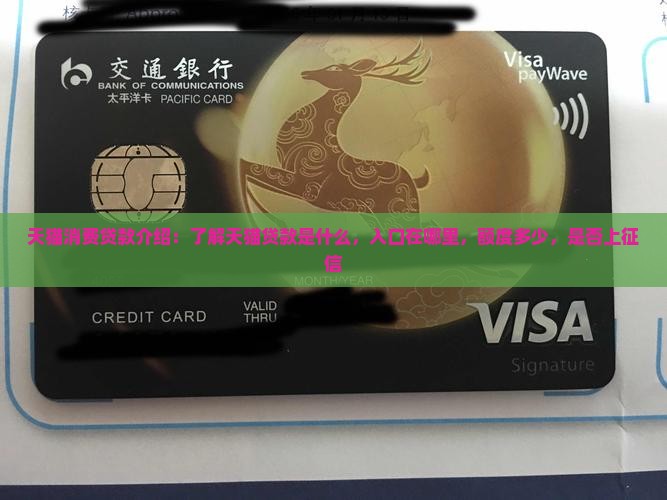 天猫消费贷款介绍