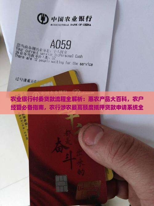 农业银行村委贷款流程