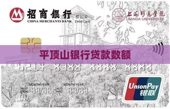 平顶山银行贷款数额