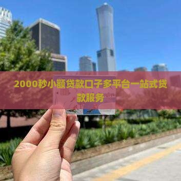 2000秒到小额贷款
