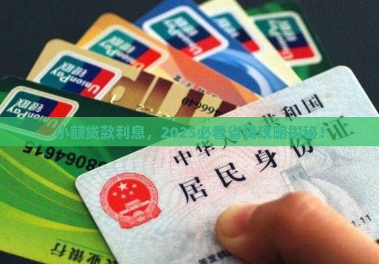小额贷款是利息