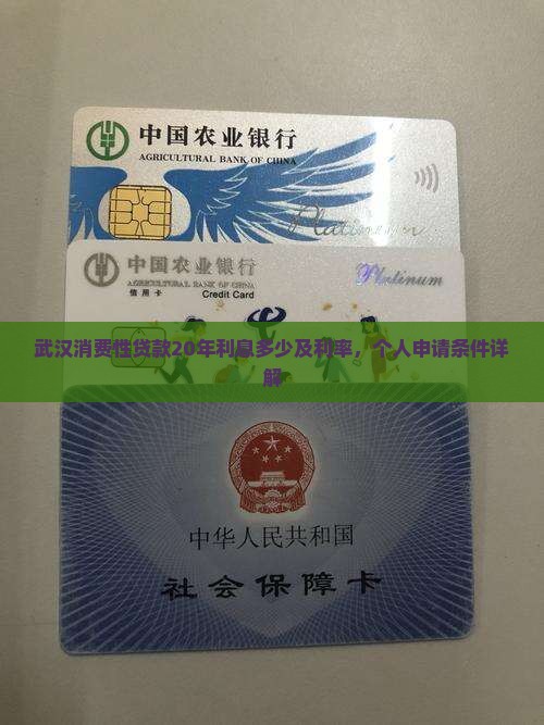 武汉消费性贷款20年