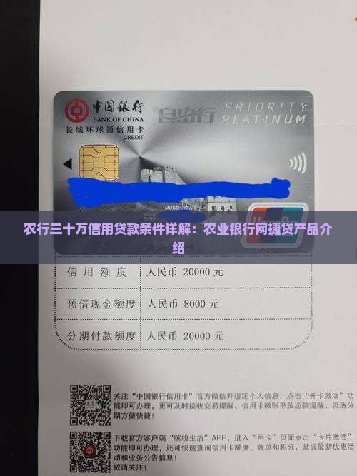 农业银行三十万信用贷款