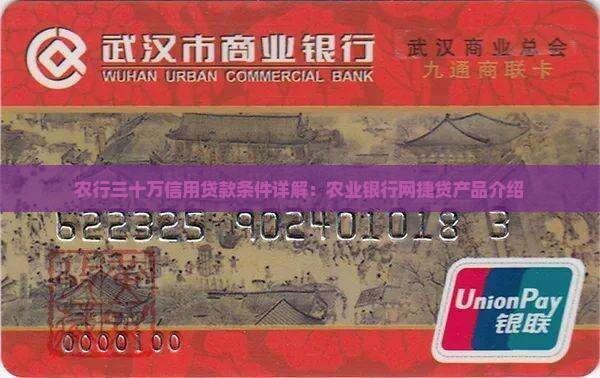农业银行三十万信用贷款