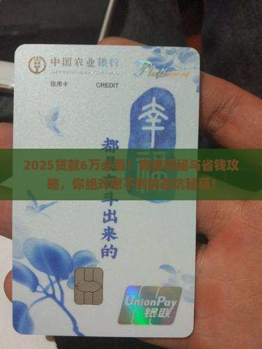有钱花贷款6万