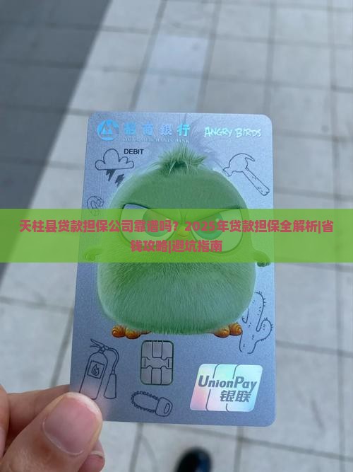 天柱县贷款担保公司