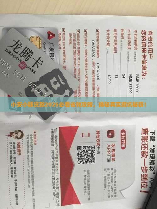 小安小额贷款