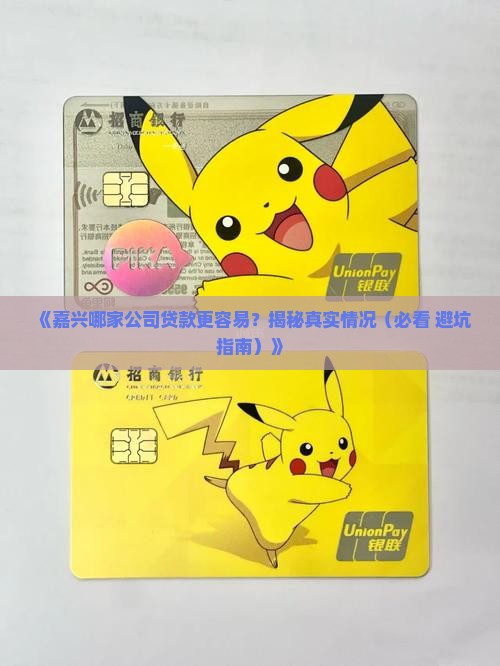 嘉兴什么公司贷款容易