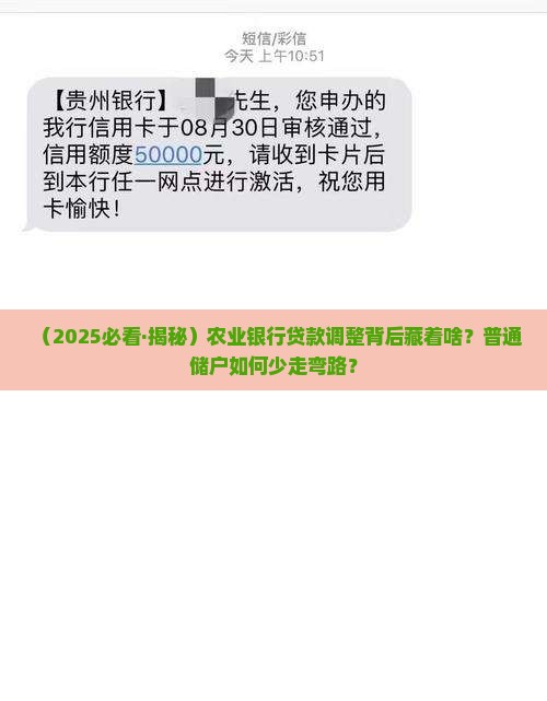 农业银行看调整贷款
