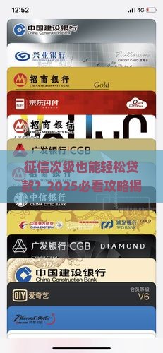 征信次级怎么贷款啊