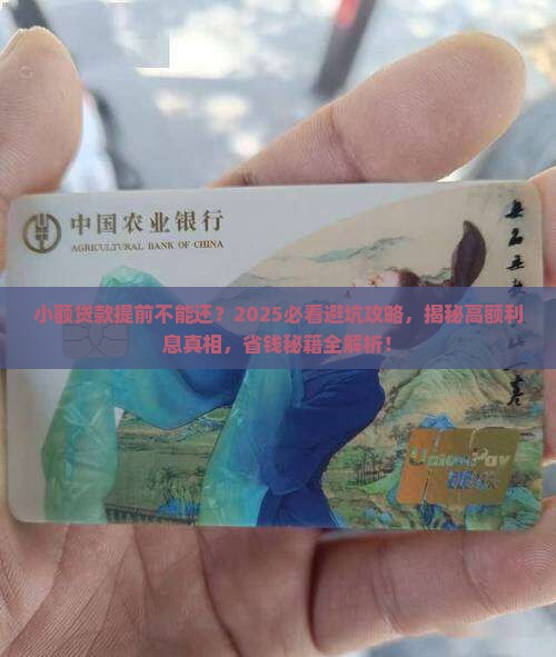 小额贷款提前不能还