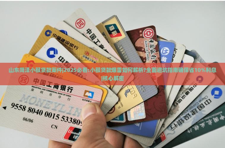 山东菏泽小额贷款案件