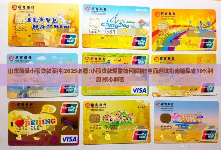 山东菏泽小额贷款案件