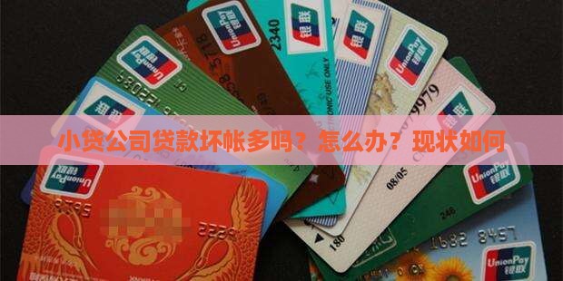 小贷公司贷款坏帐多吗