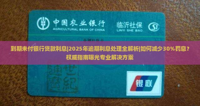 到期未付银行贷款利息