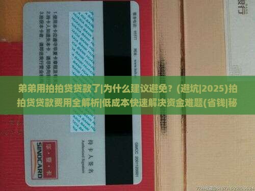 弟弟用拍拍贷贷款了
