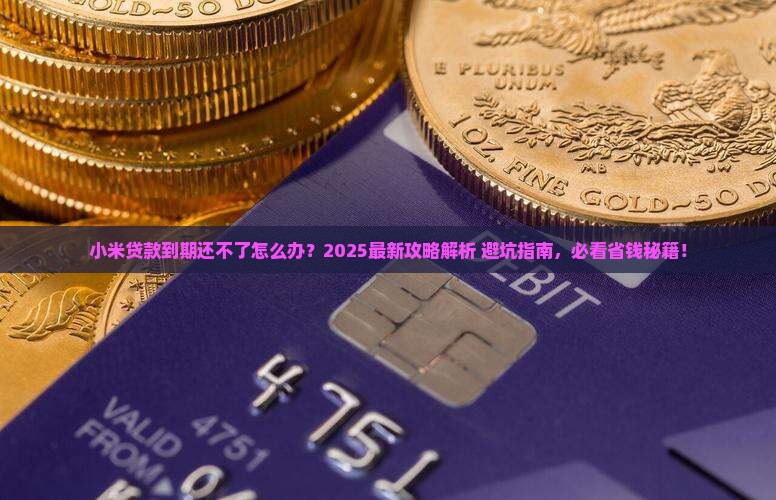 小米贷款到期还不了