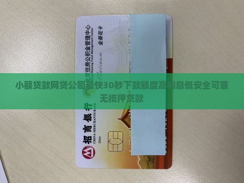 小额贷款网贷公司