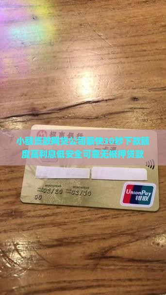 小额贷款网贷公司