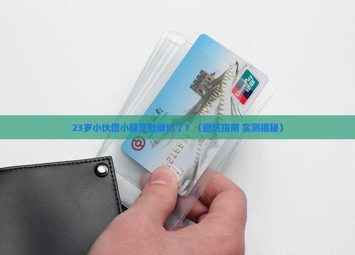 小伙借小额贷款怎么办