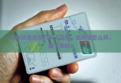 京东贷款逾期几天上征信