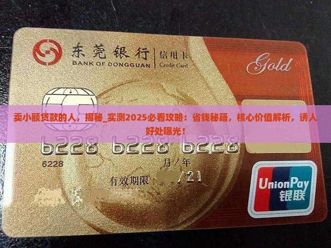卖小额贷款的人