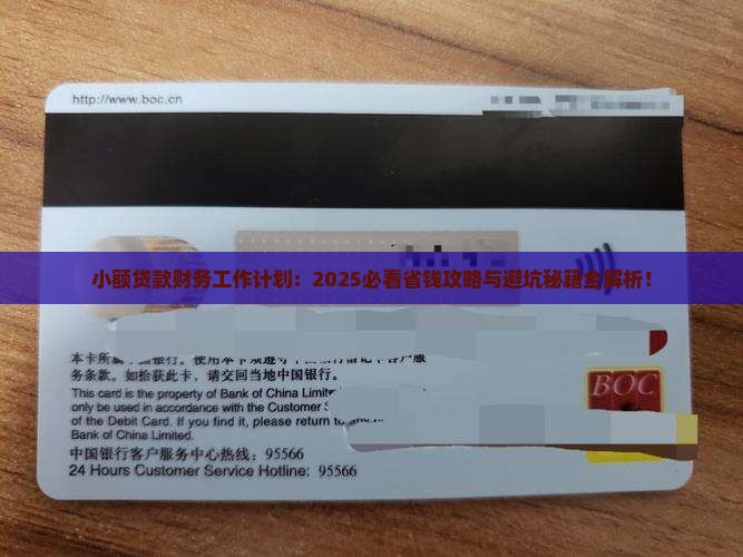 小额贷款财务工作计划
