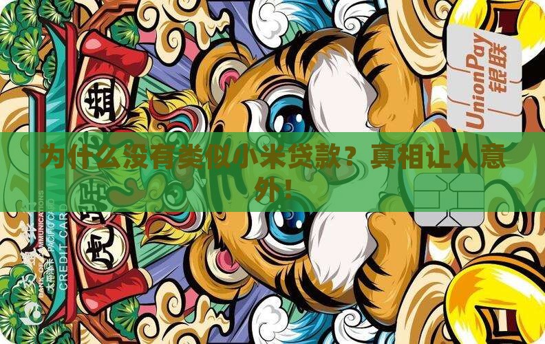 为什么没有类似小米贷款