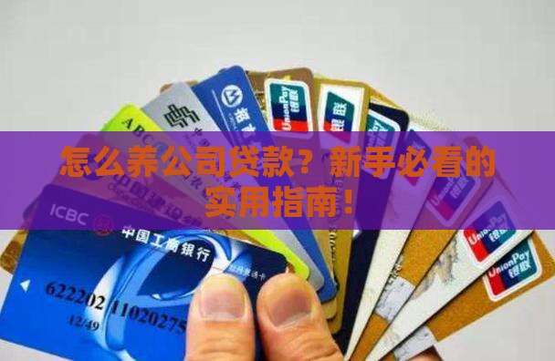 怎么养公司贷款