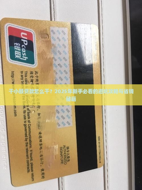 干小额贷款怎么干