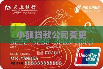 小额贷款变换