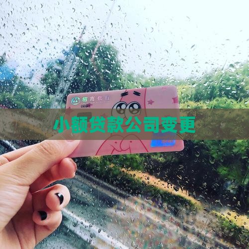 小额贷款变换