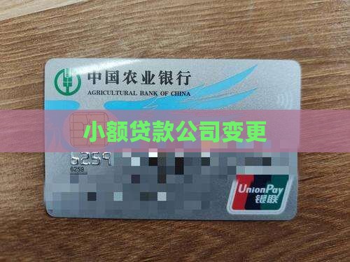 小额贷款变换