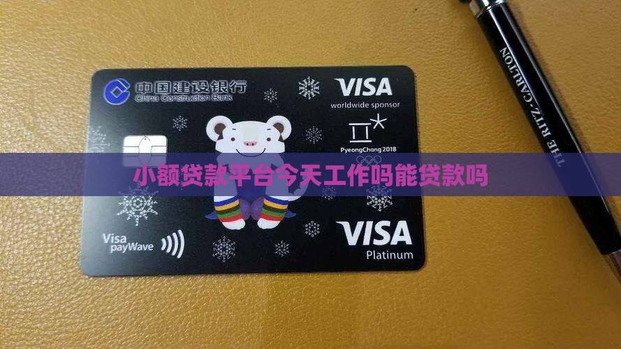 小额贷款平台今天工作吗