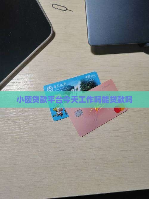小额贷款平台今天工作吗