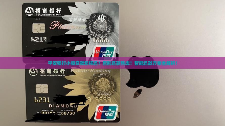 平安银行小额贷款怎样还