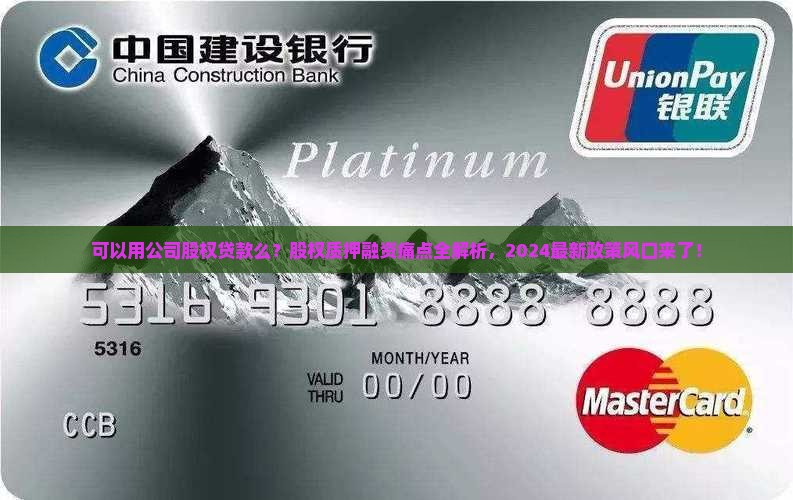 可以用公司股权贷款么
