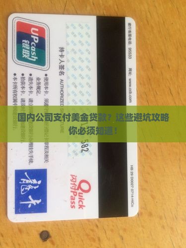 国内公司支付美金贷款